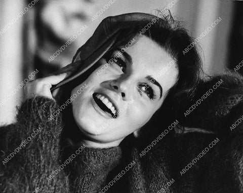 beautiful Ann-Margret portrait 3043-21