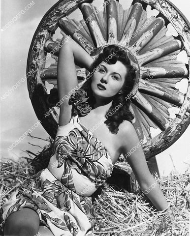 beautiful Rhonda Fleming sitting in the hay 3084-23