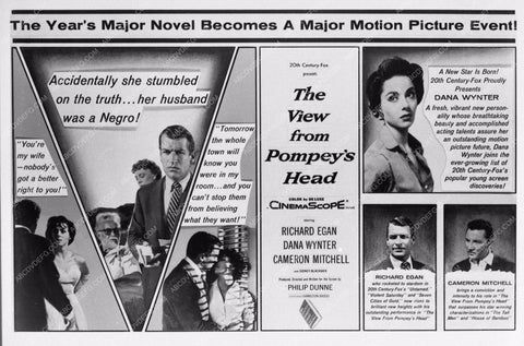 art still film The View from Pompey's Head 3095-05