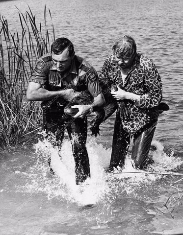 Dennis Weaver alligator wrestling TV show Gentle Ben 3212-04
