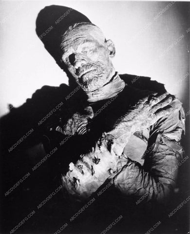 Boris Karloff as the Mummy from the classic film The Mummy 3266-05