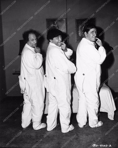 Three Stooges Moe Larry Shemp comedy short subject 3293-29