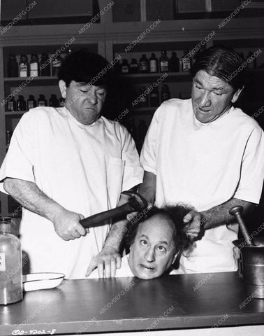 Three Stooges Moe Larry Shemp comedy short subject 3293-33