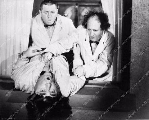 3 Stooges Moe Larry Curly comedy All the Worlds a Stooge 3388-16