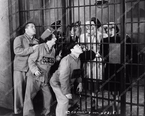 3 Stooges Moe Larry Curly unknown comedy short 3388-24