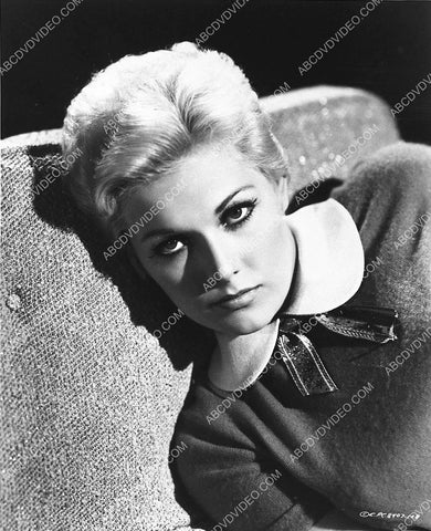 beautiful Kim Novak portrait 3417-28