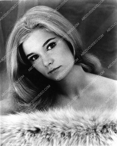 beautiful Yvette Mimieux portrait 3438-32