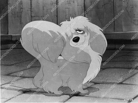 animated character film Lady and the Tramp 3469-36