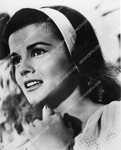 beautiful Ann-Margret portrait 3533-15