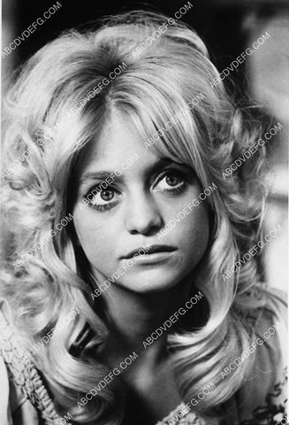 beautiful Goldie Hawn portrait 3533-21