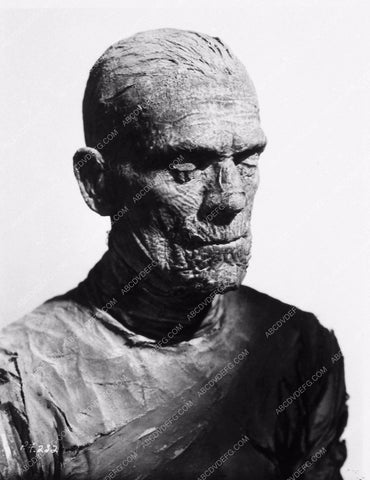 Boris Karloff The Mummy 3590-24