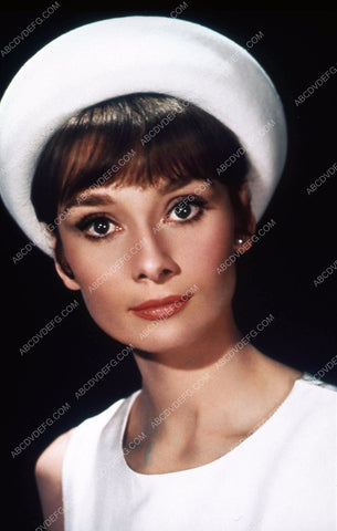 beautiful Audrey Hepburn portrait 35m-713