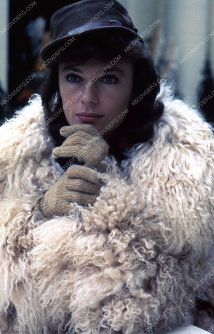 beautiful Jacqueline Bisset portrait 35m-852