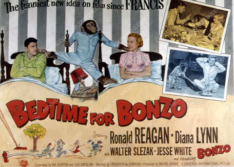 Ronald Reagan Diana Lynn film Bedtime for Bonzo 35m-10374