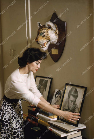 Natalie Wood adjusting some of the decorations 35m-13141