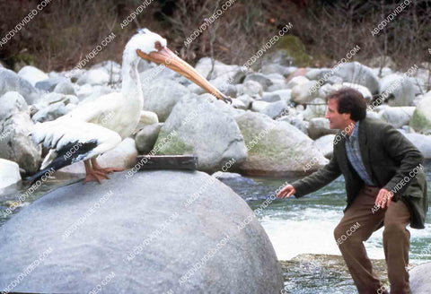 Robin Williams w the giant stork film Jumanji 35m-14485