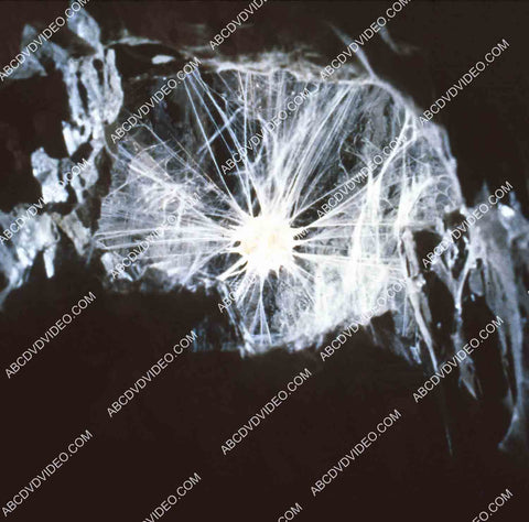 spider web caverns sci-fi film Krull 35m-14855