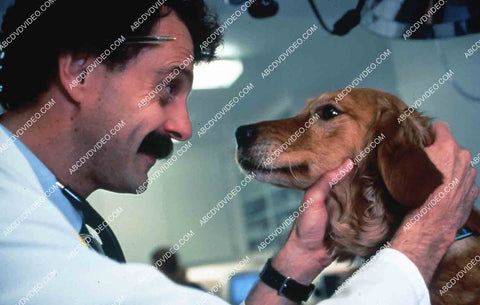 doctor examines dog Animal Planet documentary TV Emergency Vets 35m-15915