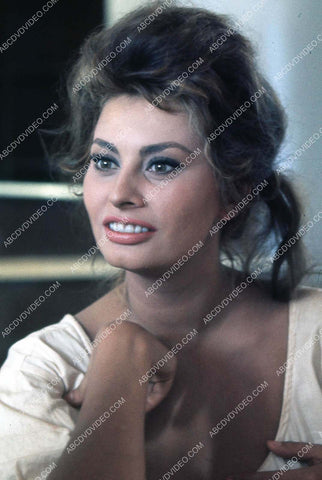 beautiful Sophia Loren portrait 35m-16847