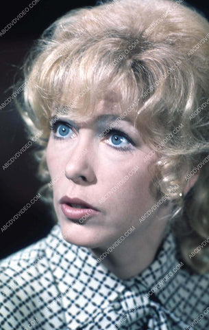 Stella Stevens portrait 35m-17051