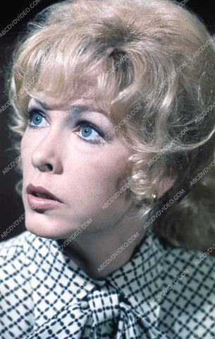Stella Stevens portrait 35m-17052