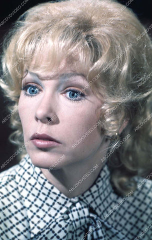 Stella Stevens portrait 35m-17057