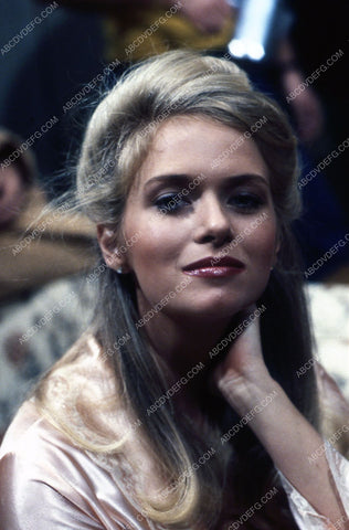 beautiful Donna Dixon portrait 35m-2733