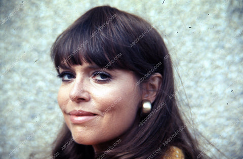 beautiful Barbara Feldon portrait 35m-4144