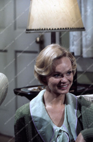 beautiful Lynda Day George pic 35m-4506