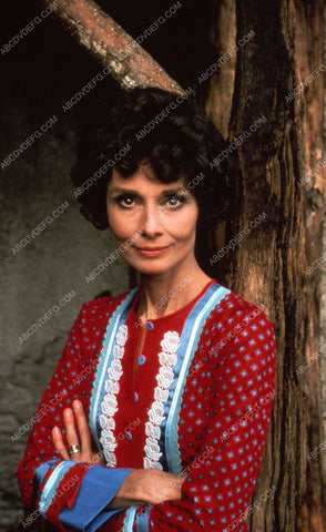 beautiful Audrey Hepburn portrait 35m-5165