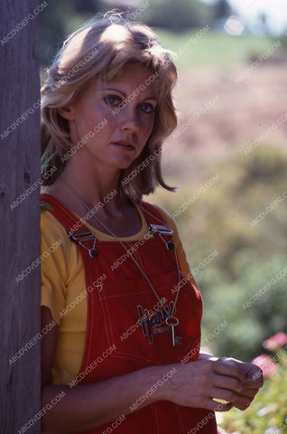 beautiful Olivia Newton-John portrait 35m-5434