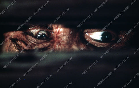 Robert De Niro's eyes film Mary Shelley's Frankenstein 35m-5961