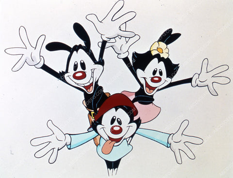 animated characters TV Animaniacs 35m-6689