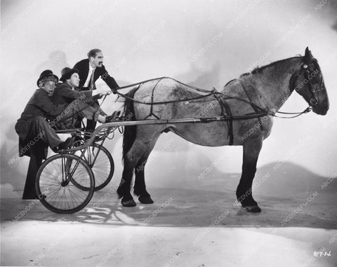 Groucho Harpo Chico Marx get into harness racing 3611-18