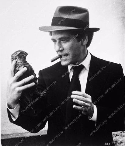 George Segal maltese falcon spoof The Black Bird 3611-21
