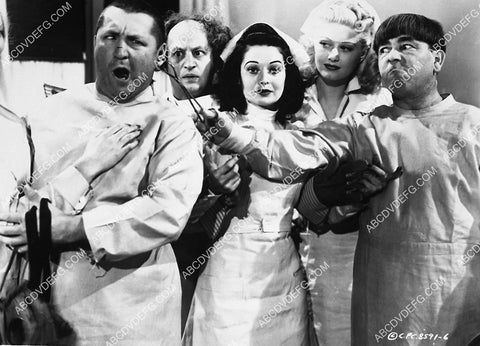 3 Stooges Moe Larry Curly w the dogs and nurses short film Calling All Curs 3644-17