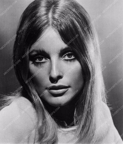 Sharon Tate headshot 3748-27