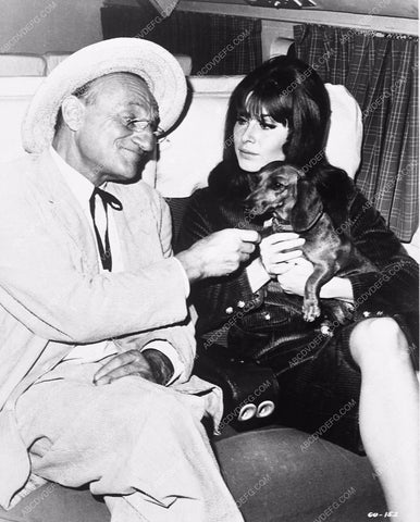 Stefanie Powers The Dog Gone Affair The Girl From Uncle 3988-33