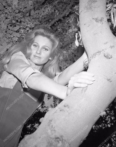 Jill Ireland original TV show Star Trek 45bx05-151