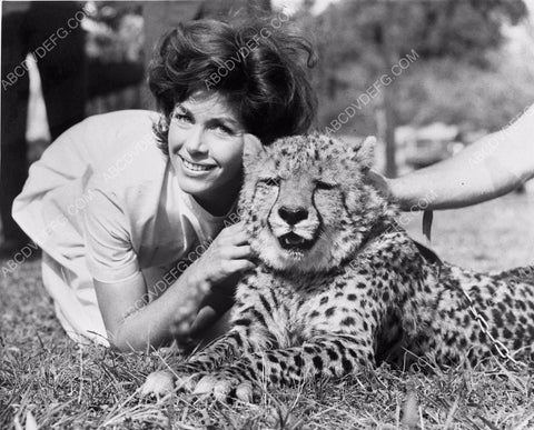 Marianne Koch with cheetah film Sanders 4b10-367