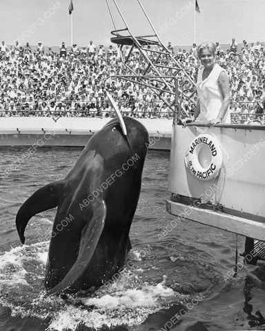 Marineland of the Pacific Bimbo the Whale 4b10-635