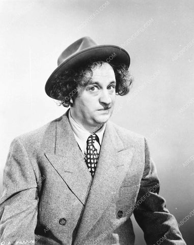 3 Stooges Larry Fine portrait 5073-11