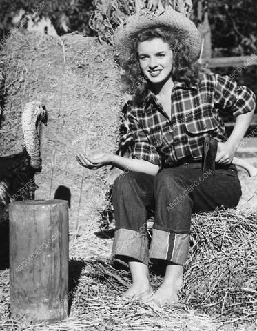 Marilyn Monroe kissing up to the Thanksgiving Turkey 5073-23