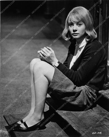 Sarah Miles seated portrait from Term of Trial 5388-06