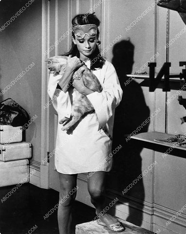 Audrey Hepburn w the cat film Breakfast at Tiffany's 5491-07