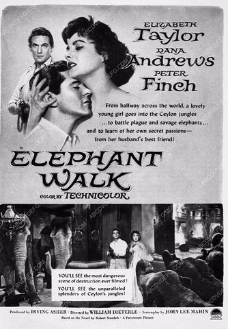 ad slick Elizabeth Taylor Dana Andrews film Elephant Walk 5610-37