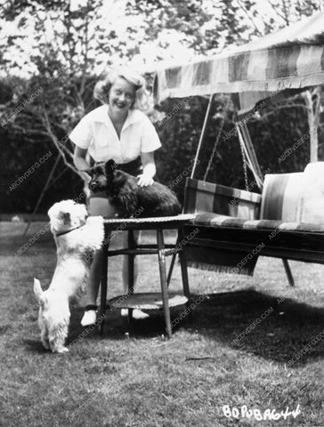 great candid of Bette Davis grooming her dogs 5795-06