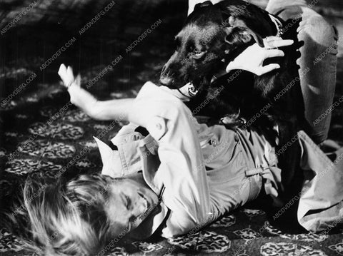 dog attack in film The Mephisto Waltz 5951-16