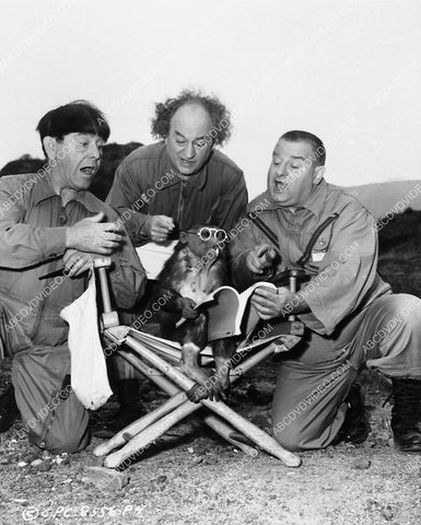 3 Stooges Moe Larry Joe DeRita & monkey go over the script film Have Rocket Will Travel 5967-29