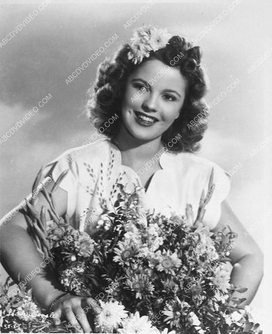 Shirley Temple w some flowers 6114-22